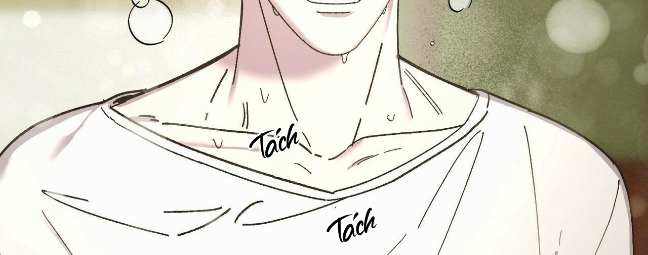 chàng dâu nhà họ kang chapter 28 184