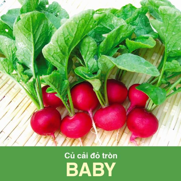 Hạt Giống Củ Cải Đỏ Baby 1gram