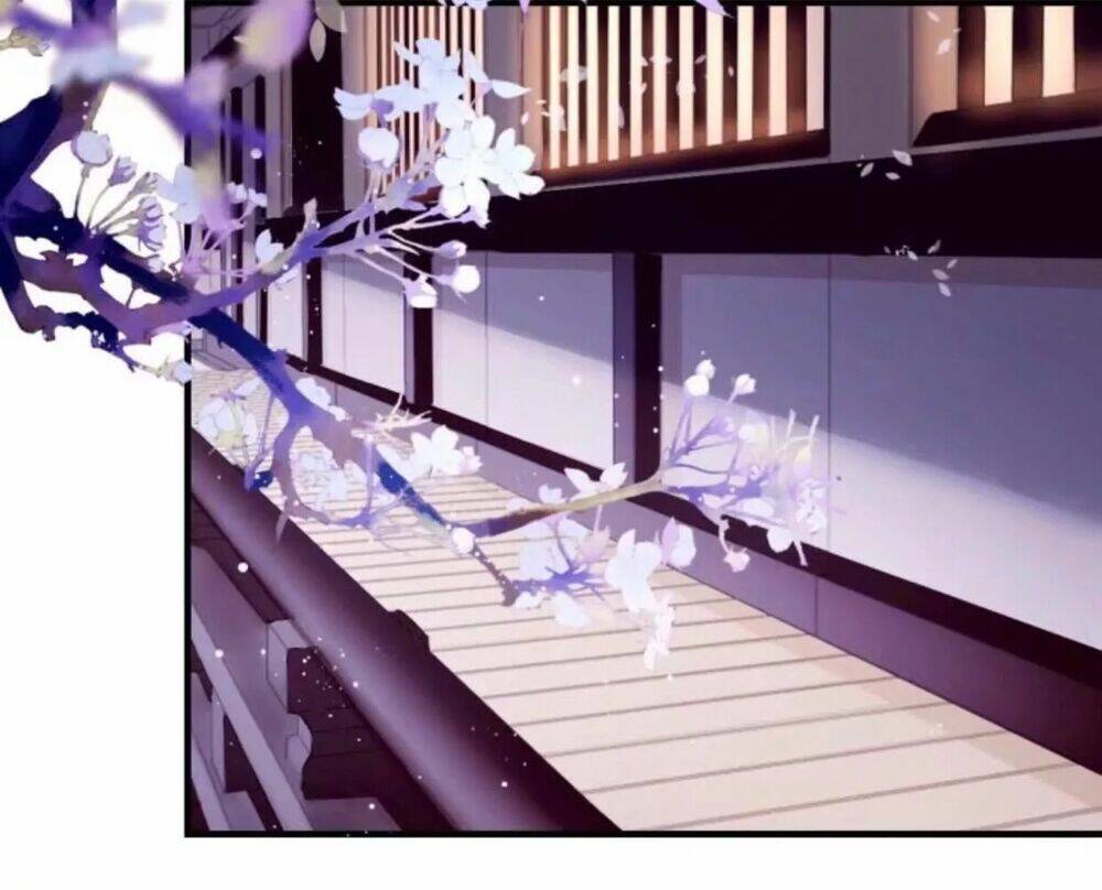 sủng phi của vương chapter 53 13