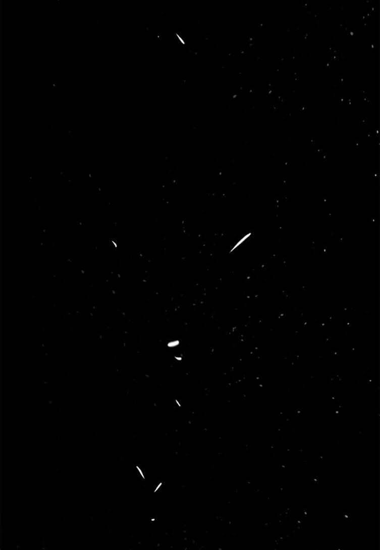 this girl is a little wild chapter 1.5 12