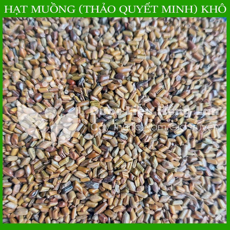 1kg Hạt Muồng (Thảo Quyết Minh) khô sạch