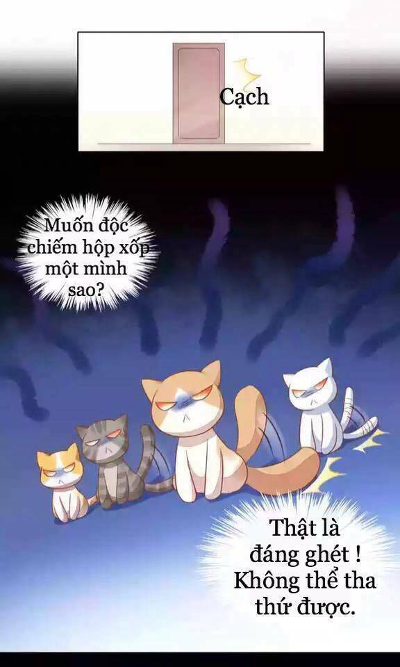 dưới móng vuốt mèo chapter 12 36