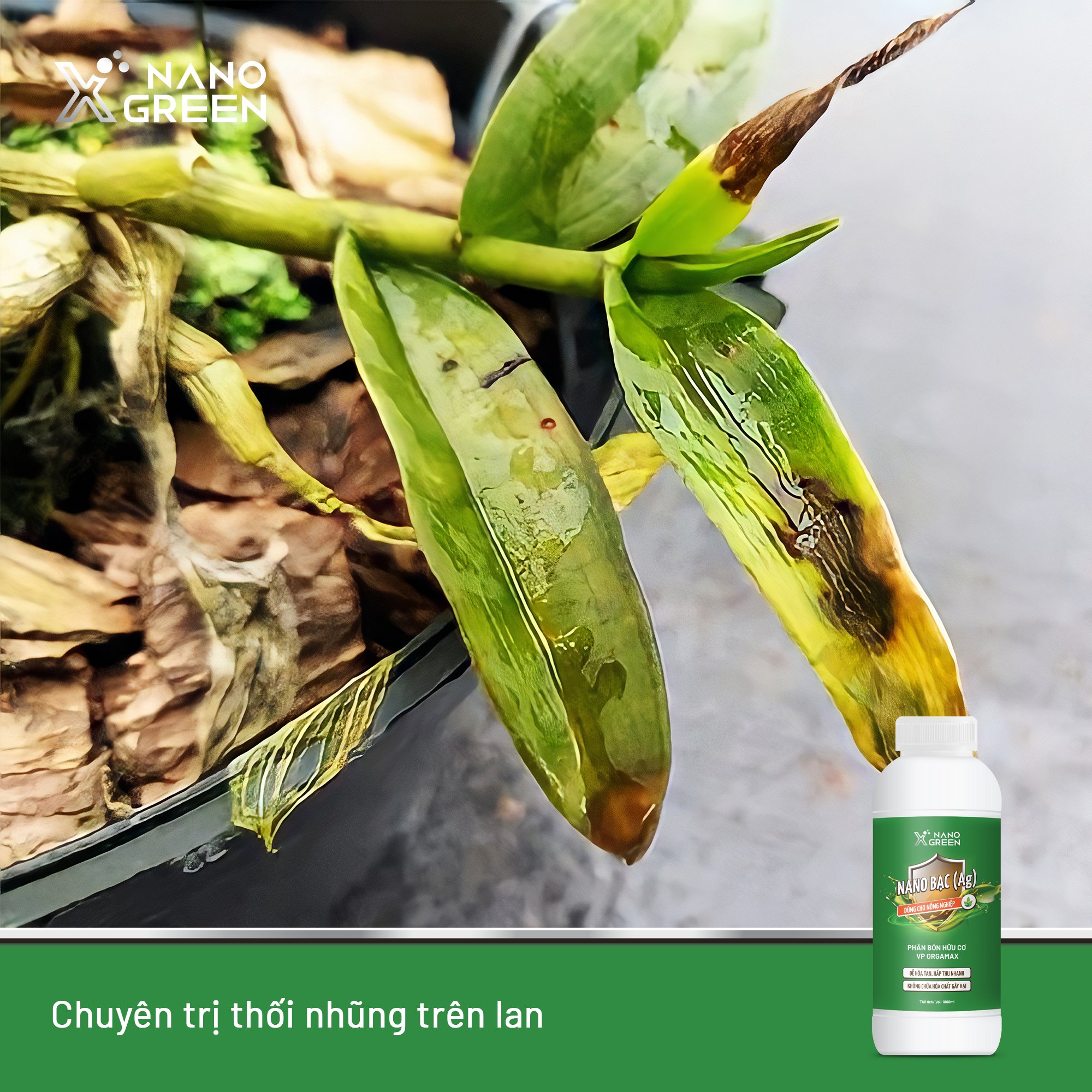 Phân Bón Hữu Cơ Nano Xgreen Nano Bạc Ag 100ml - Chuyên Dùng Trong Nông Nghiệp - AHT Corp