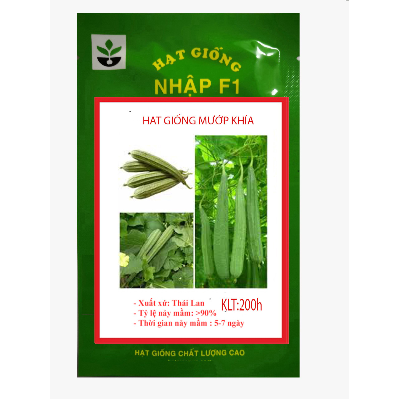 GÓI 200 HẠT GIỐNG MƯỚP KHÍA