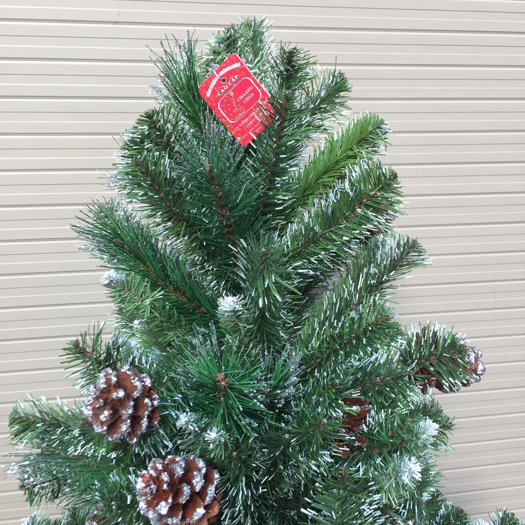 Cây thông Noel 3 loại lá gắn trái thông nhiều kích cỡ