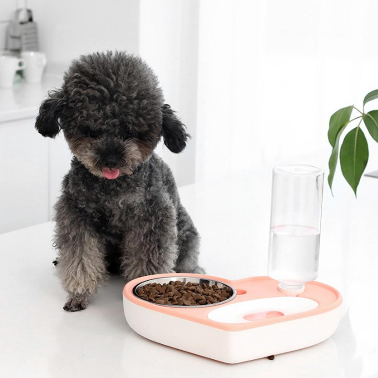 Automatic Pet Cat Dog Food and Water Bowl Set Water Food Dispenser
