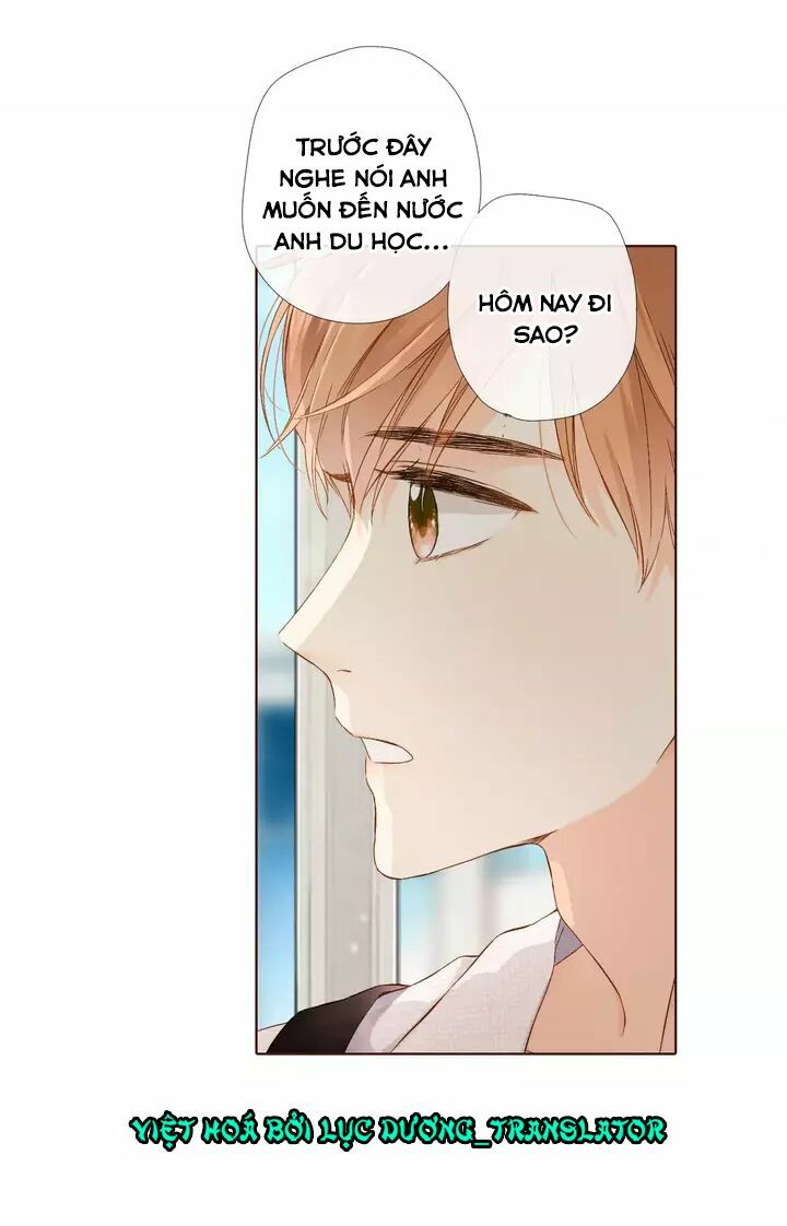 Tình yêu là màu hoa anh thảo chapter 32.2 46