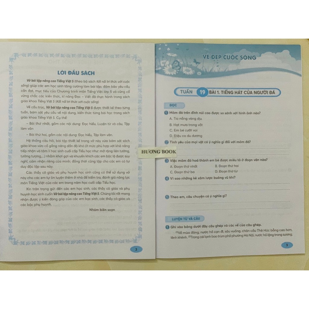 Sách - Vở bài tập nâng cao Toán 5 - tập 1 (Kết nối tri thức với cuộc sống)