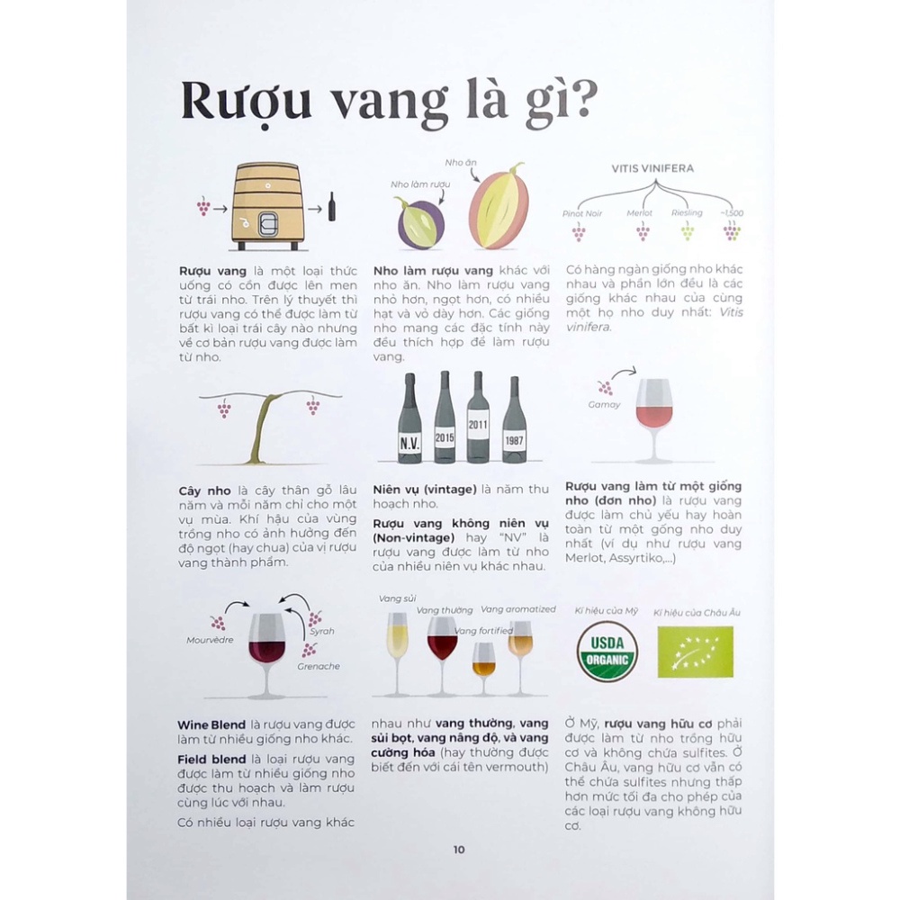 Sách Wine Folly Toàn Tập (Phiên Bản Magnum)