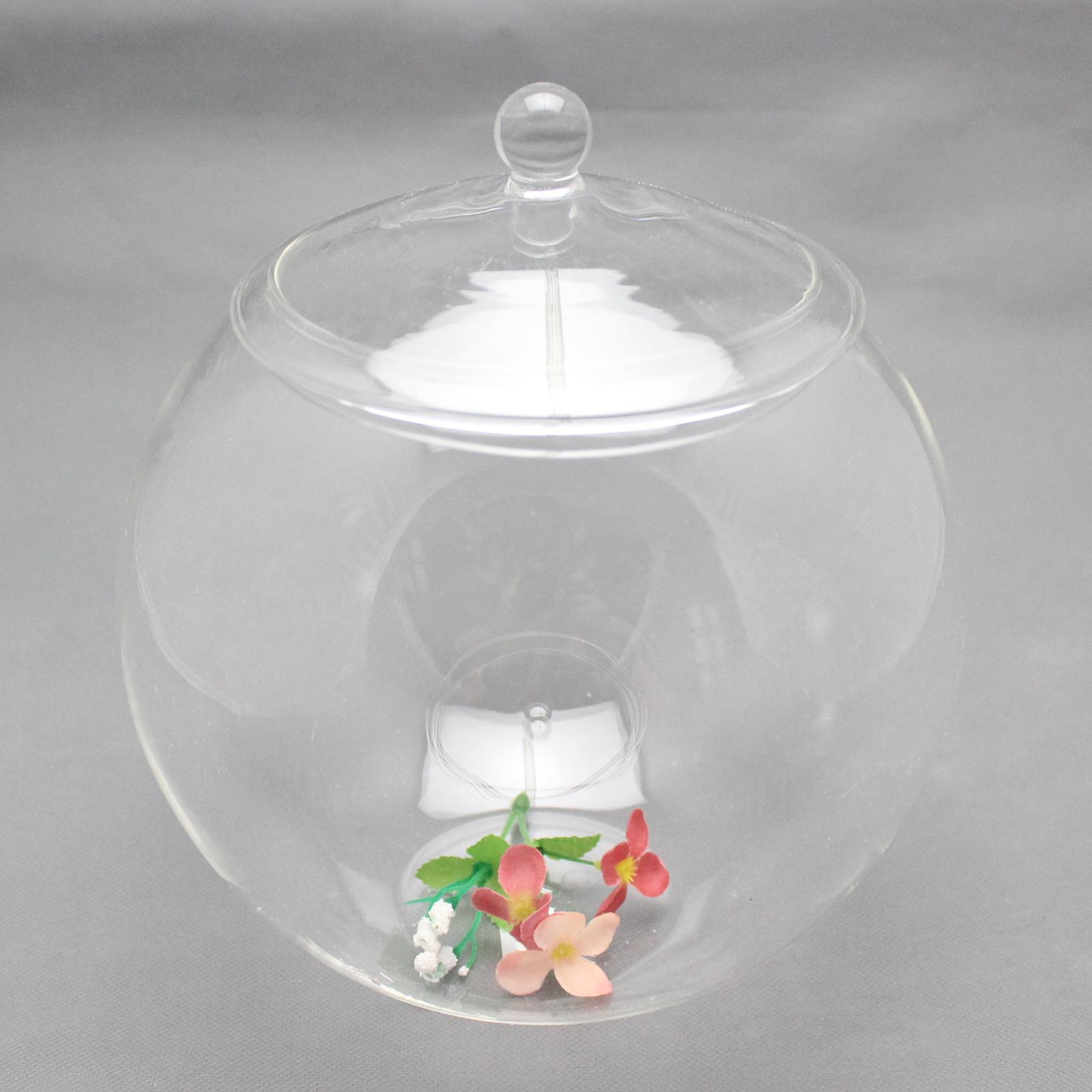 Glass Terrarium, Glass Plant Container, Sealed Storage Jar, Centerpiece Planter Jar Micro Landscape Bottle for Candy Coffee kitchen Nuts