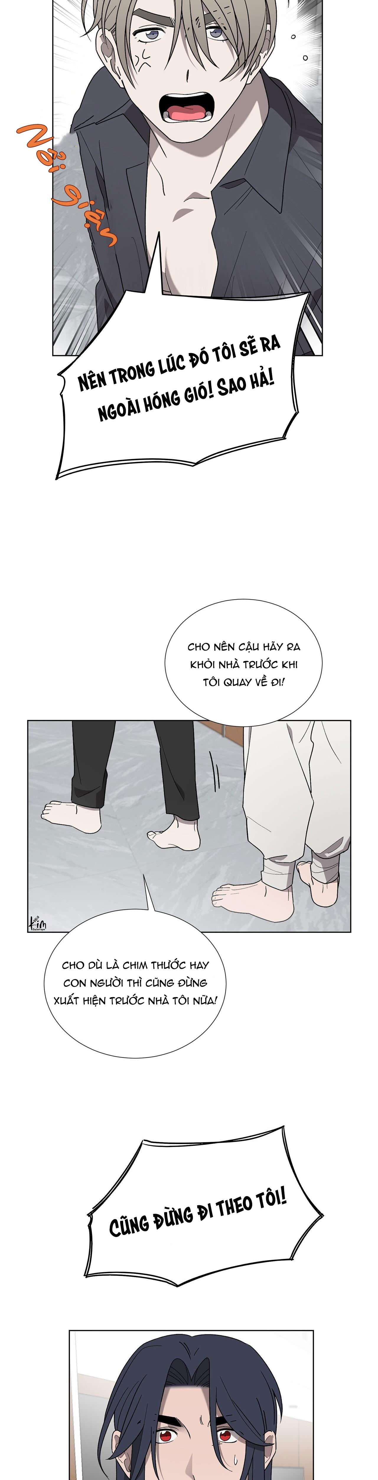 khi chim thước đến chapter 9 10