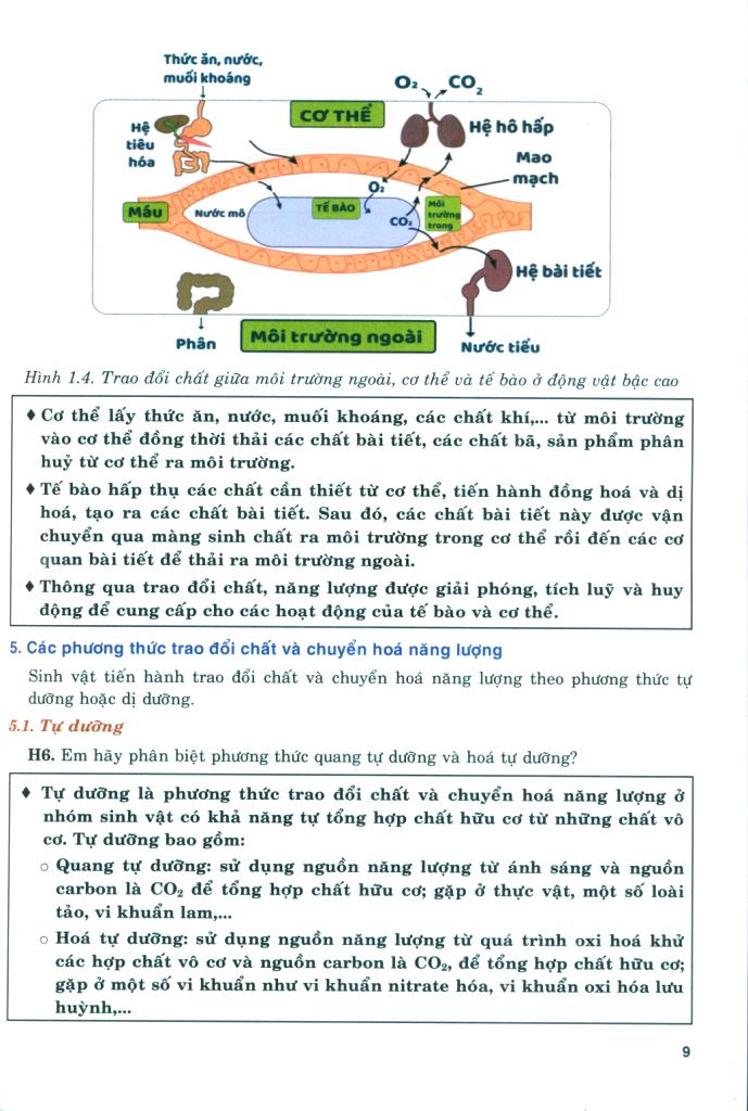 Bồi Dưỡng Năng Lực Tự Học Sinh Học 11