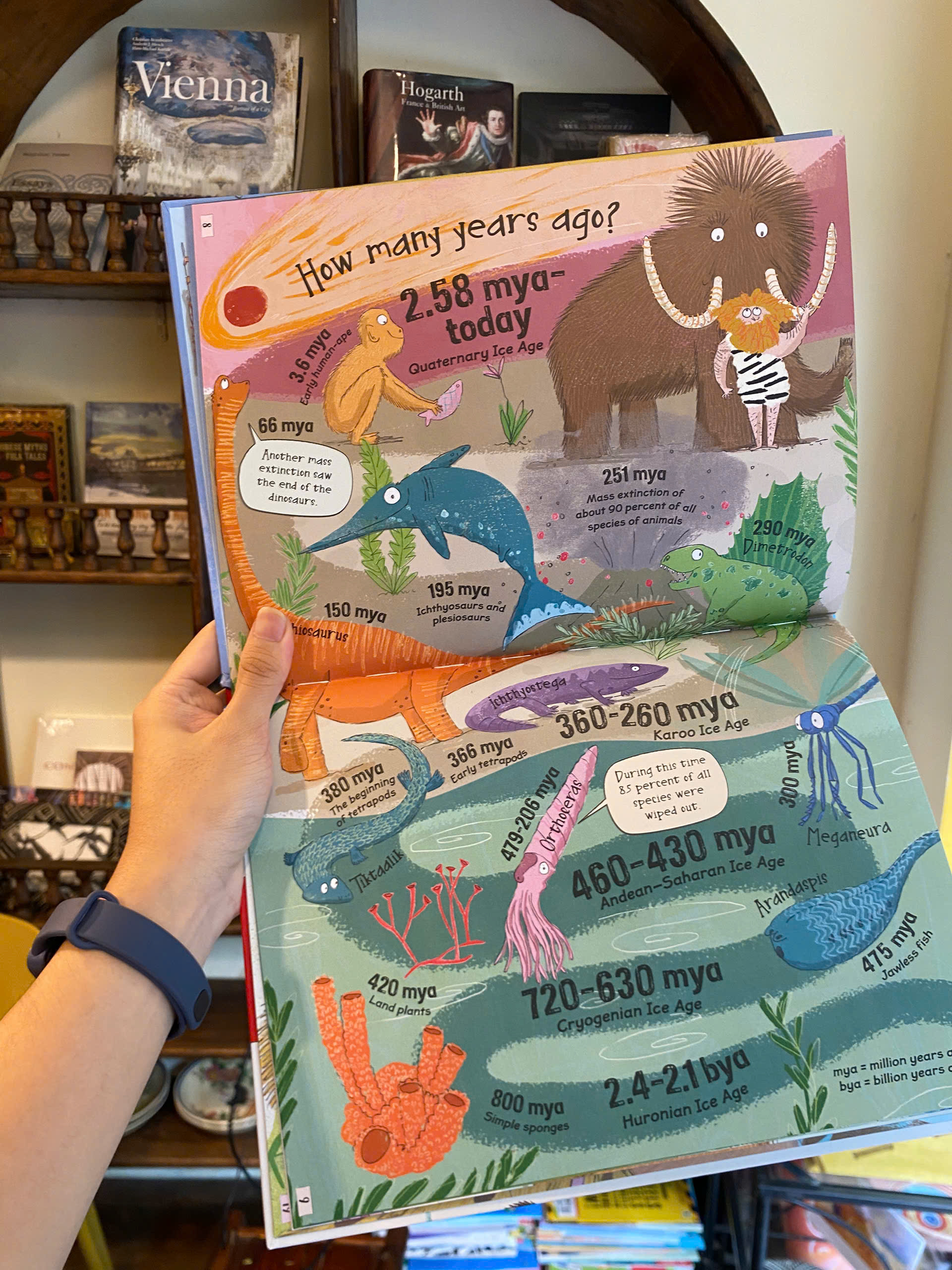 Sách - Curious Questions & Answers About The Ice Age (Miles Kelly Children Book) | Ngoại văn