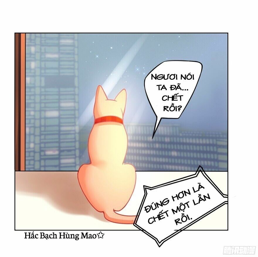 chủ nhân là ảnh đế chapter 1.5 17