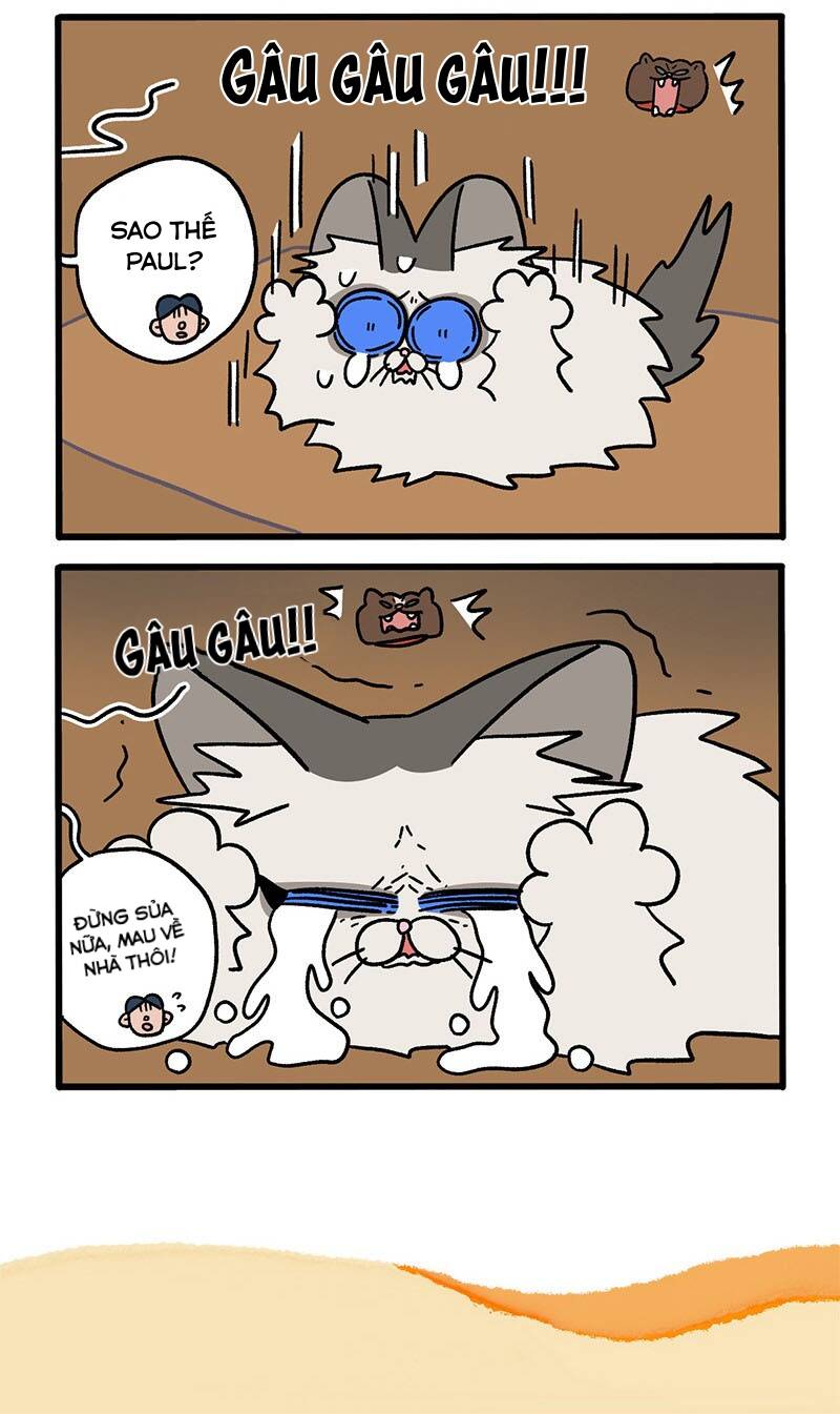 a mãn và mạch trà chapter 48 6