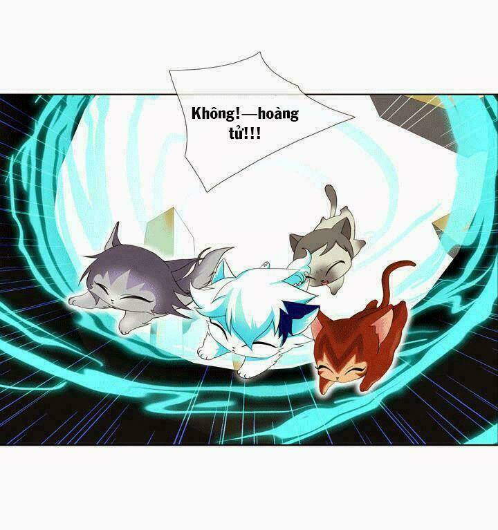 hoàng tử mèo đáng ghét chapter 1 8