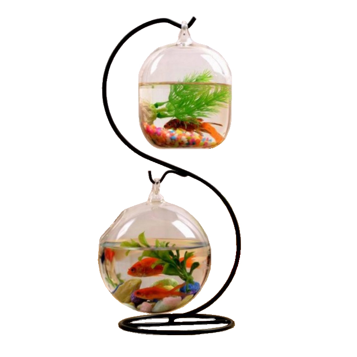 Bể cá mini treo chữ S Tặng phụ kiện