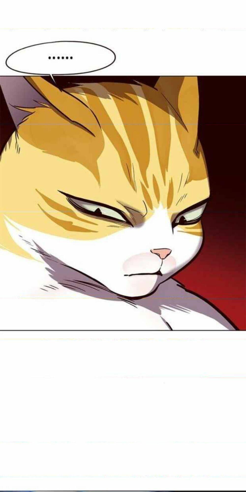 biến thân thành mèo chapter 154 38