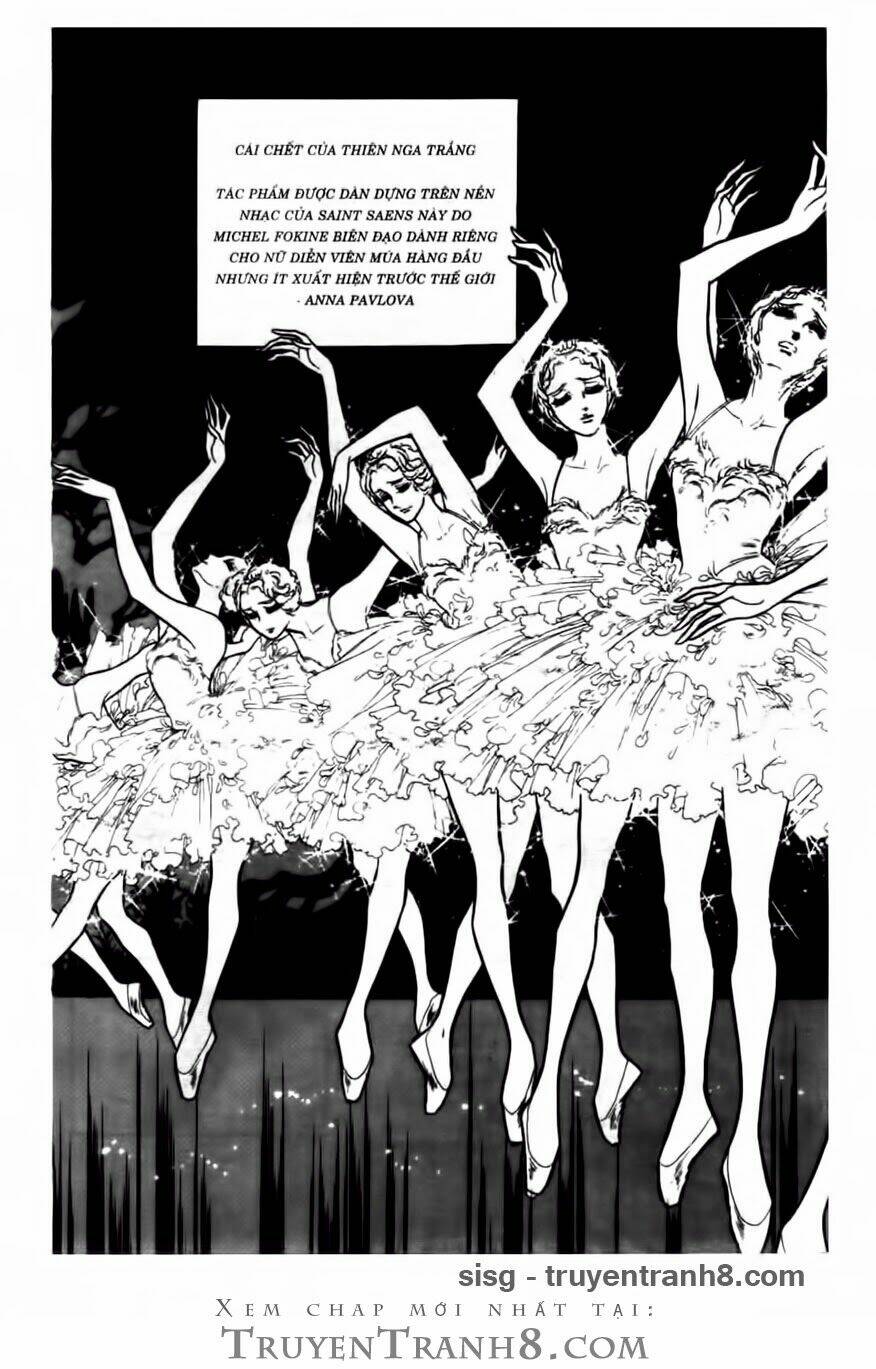 swan - vũ khúc thiên nga chapter 83 12