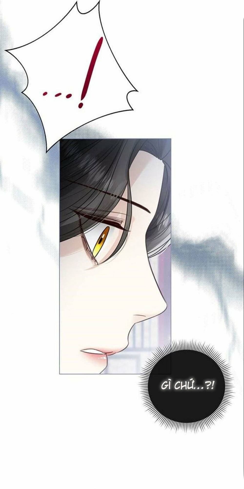 tôi sẽ từ bỏ vị trí hoàng hậu chapter 15 88