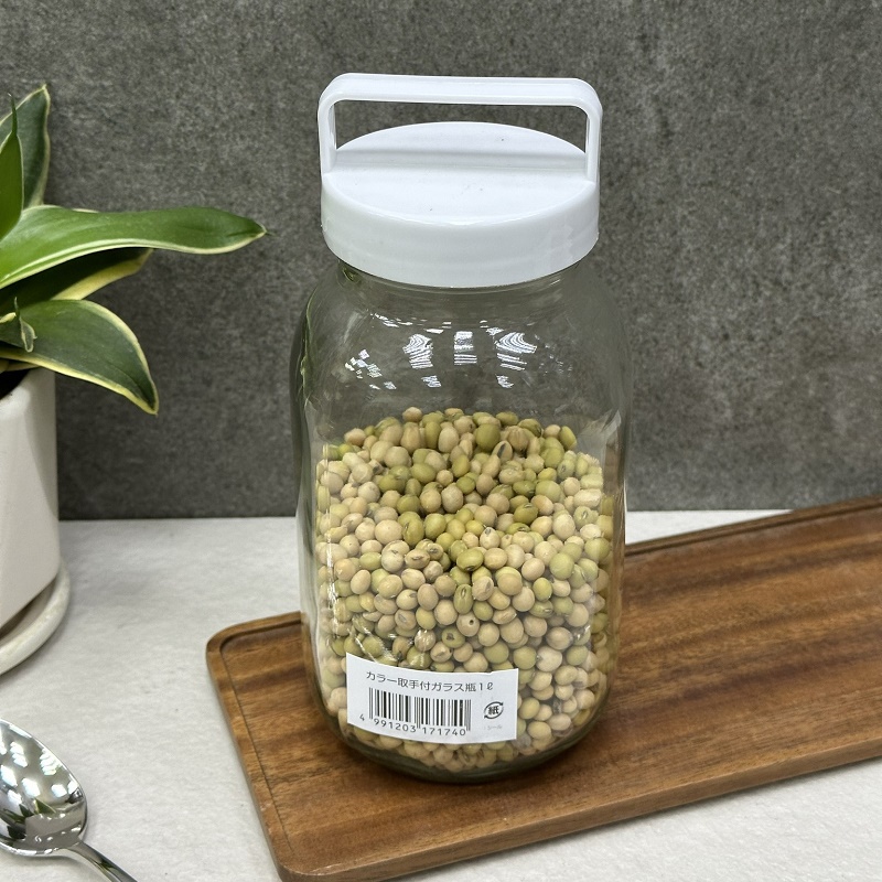 Chai thủy tinh có quai xách Echo Glass Bottle 1.0L