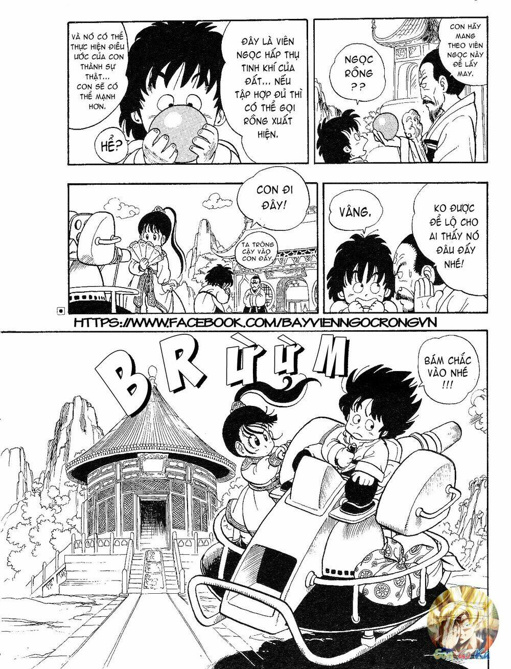 dragon boy chapter 1 7