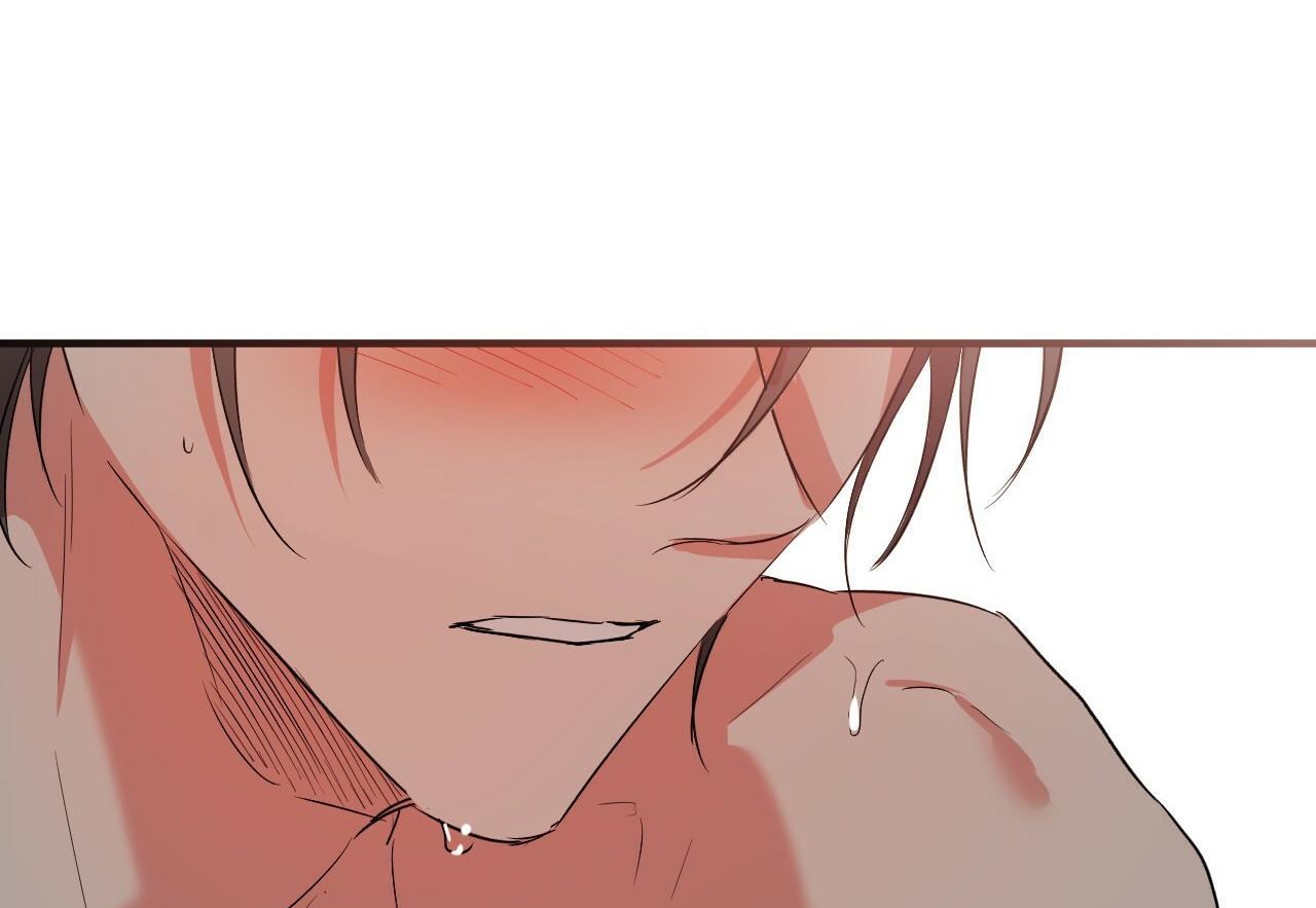 đàn thỏ của habibi chapter 54 240