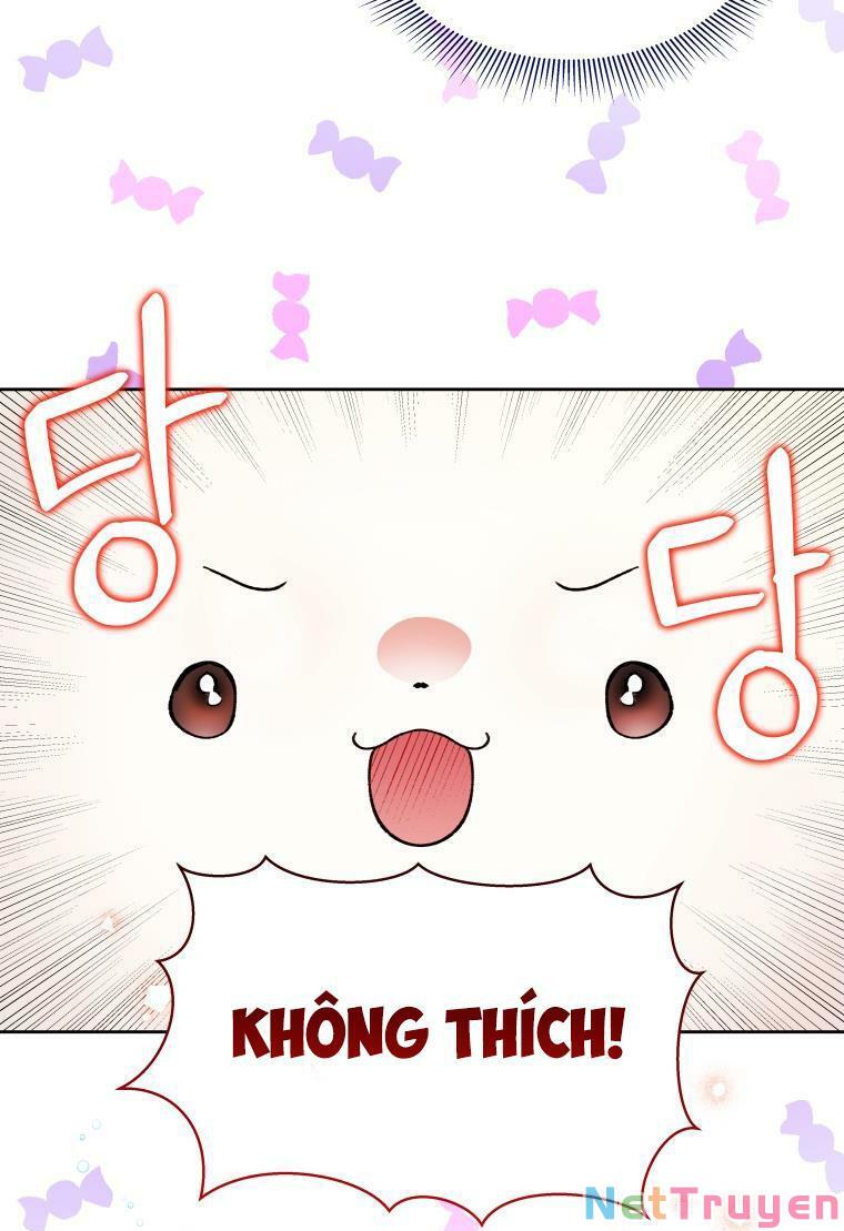 này tiểu công tước, hãy tin ở chị đi! chapter 12 11