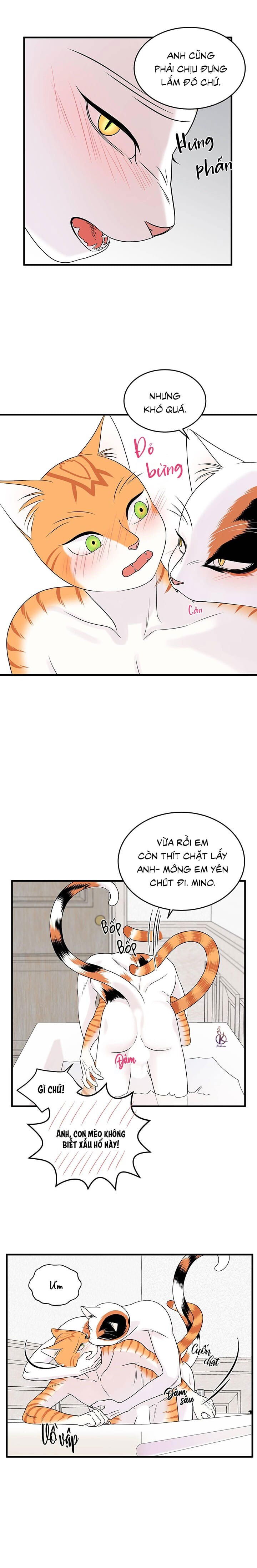 dự án xanh chapter 38 15