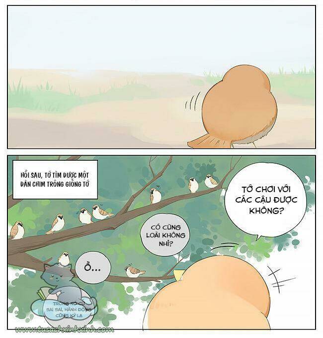 chim sẻ gọi ngỗng trời chapter 10 4