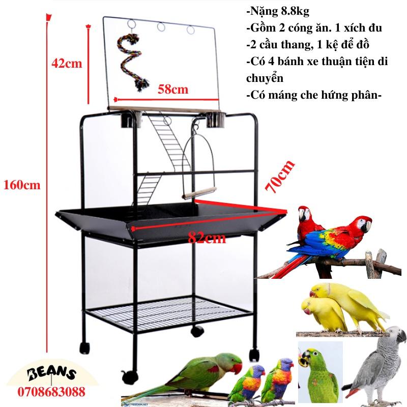 Cầu đứng cho vẹt hàng cao cấp nhập khẩu dành cho vẹt trung và lớn như xám, xích, amazon, electus, lory, macaw ..