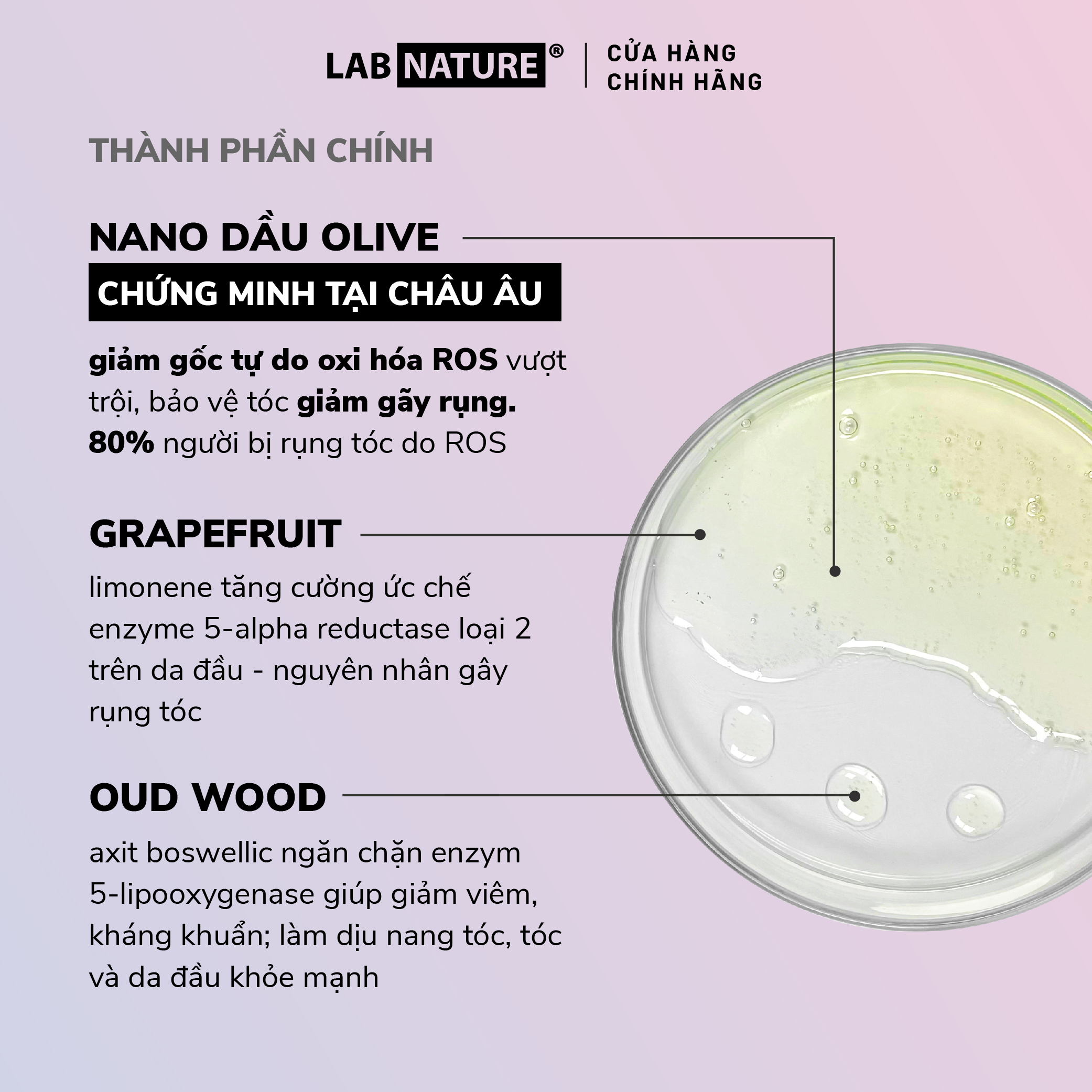 Combo Dầu Gội và Dầu Xả Ngăn rụng tóc cho mẹ bầu và sau sinh LAB NATURE No.2 - công nghệ Nano Olive Oil