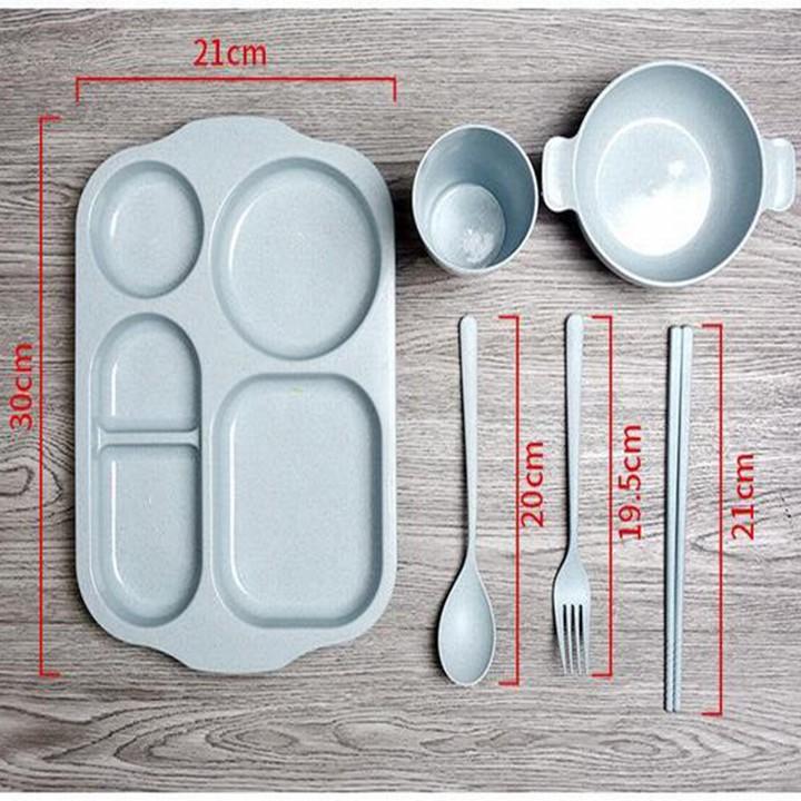 KHAY ĂN DẶM 6 MÓN CHIA 5 NGĂN LÚA MẠCH - KHAY ĐỂ ĐỒ ĂN - 00173