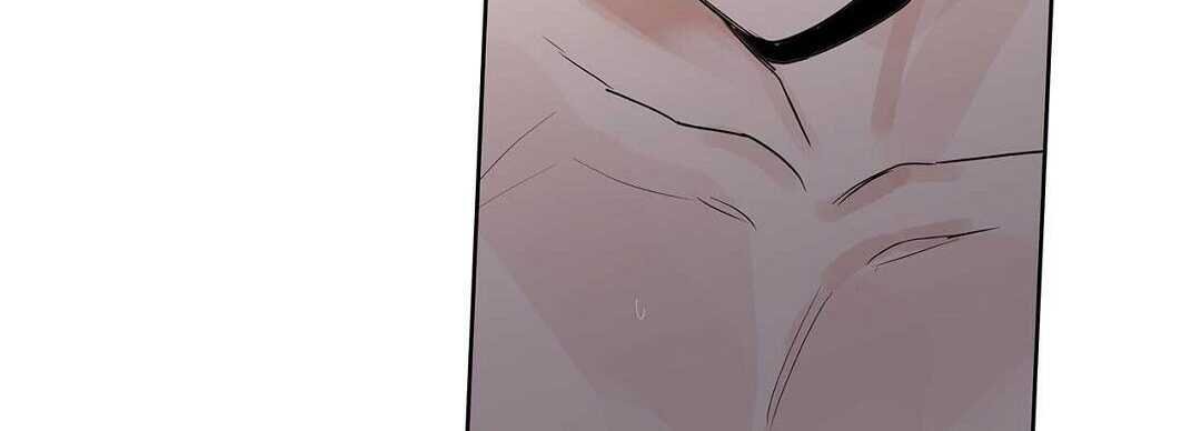 guide cấp b chapter 41 207