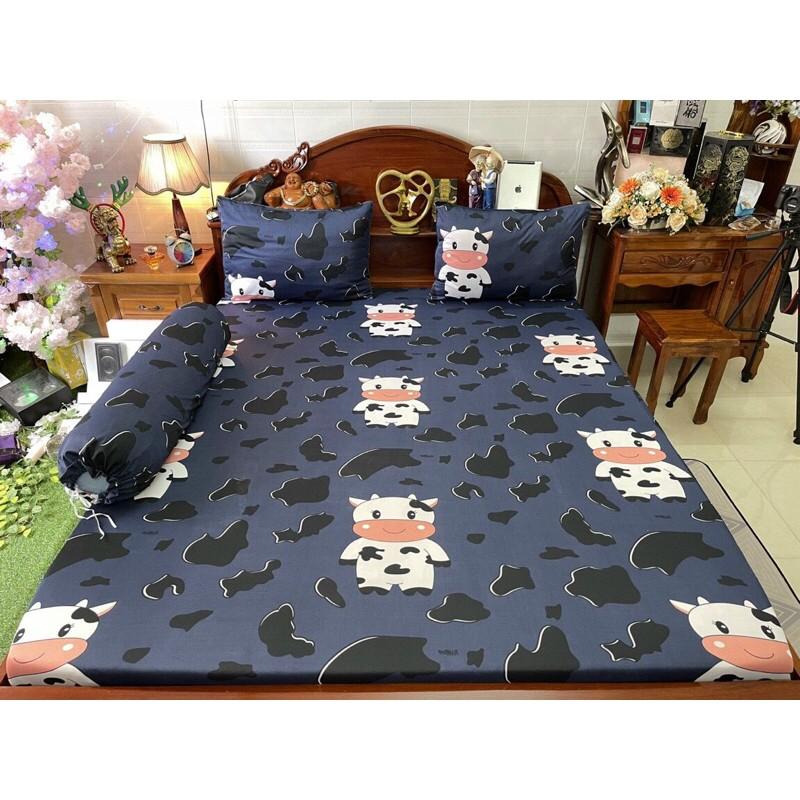 Drap thun hàn quốc