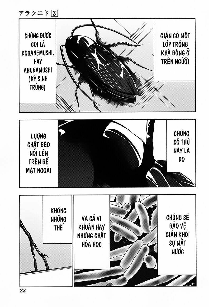 arachnid chapter 11 26