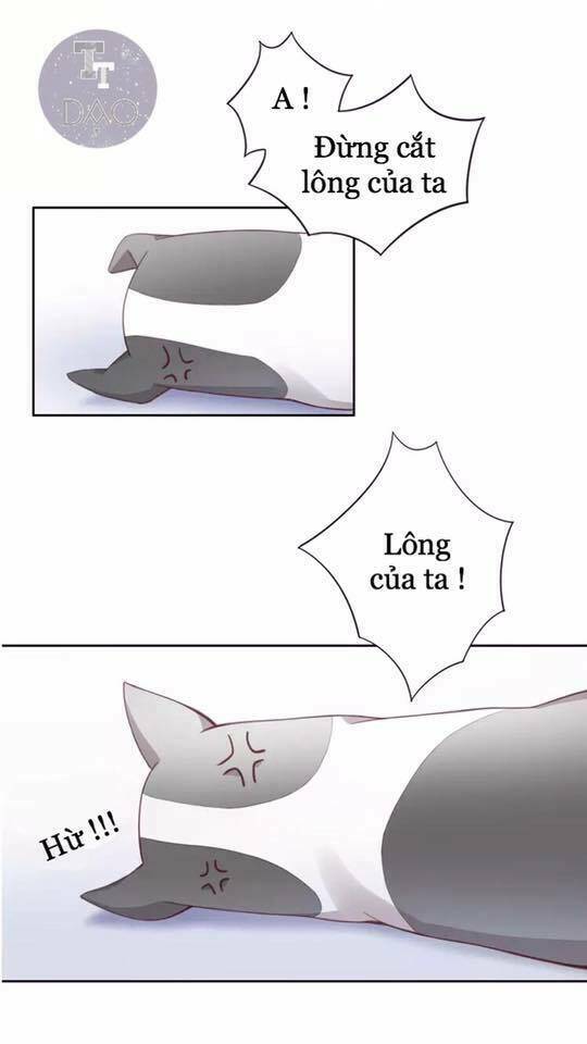 thị hoang chi thần chapter 17 63