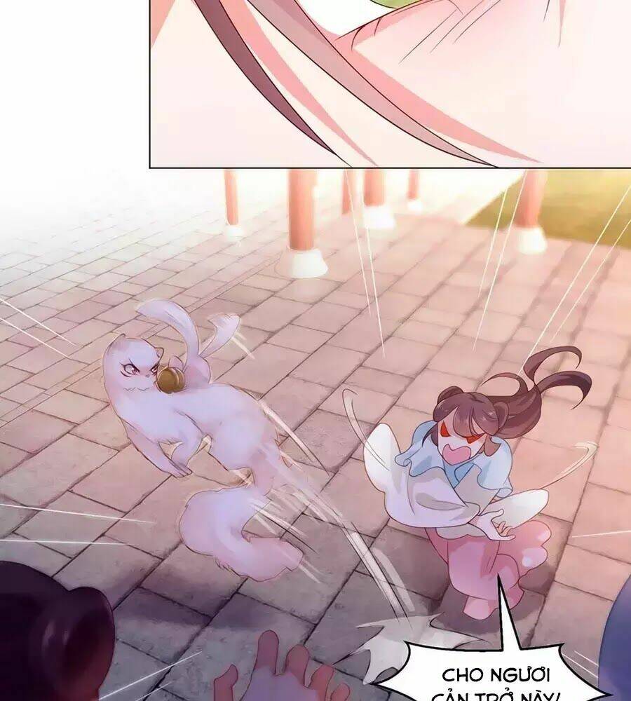 dưỡng thú vi phi chapter 7 10