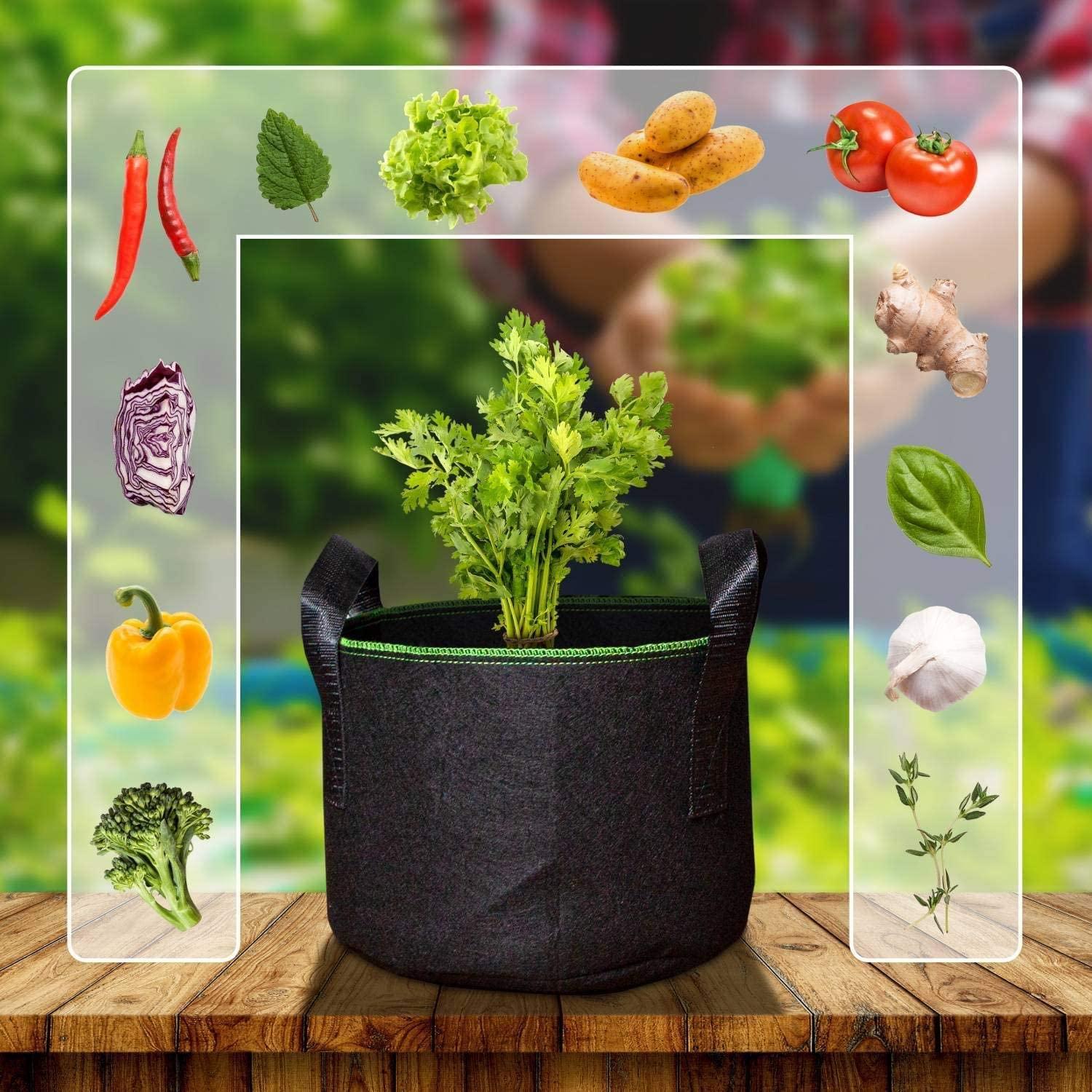 3 miếng túi trồng 5 gallon túi trồng với tay cầm cây trồng cây trong vải không được dệt cho cà chua, khoai tây, hoa, chậu cây 30x25 cm