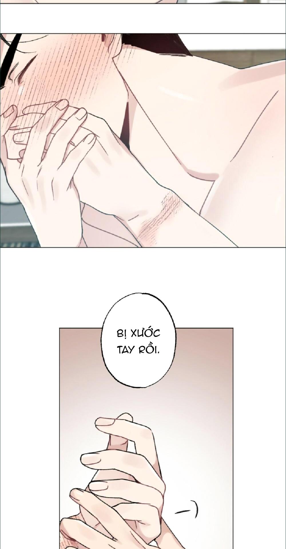 chăm sóc chapter 33 10