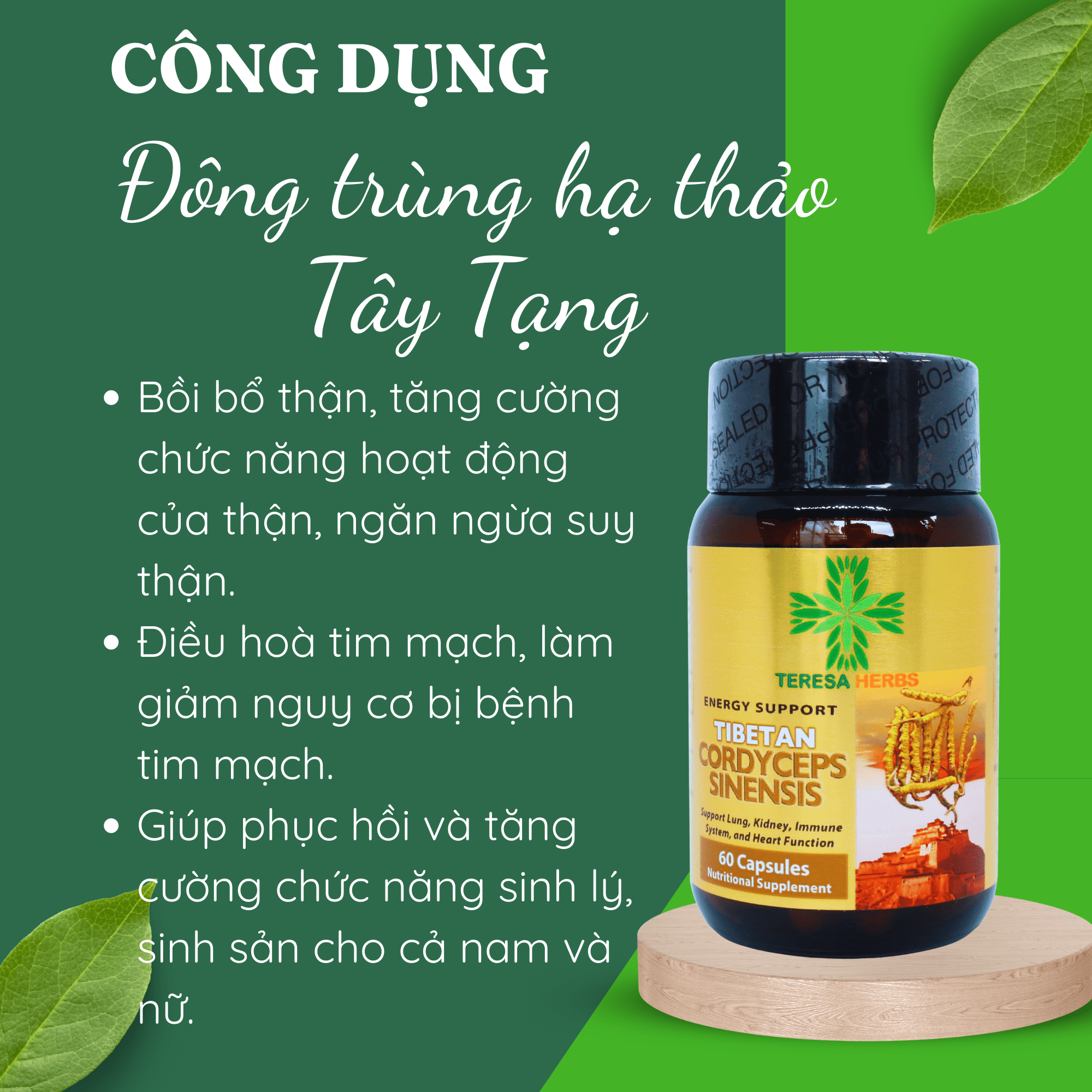 Đông Trùng Hạ Thảo Tây Tạng (Made in USA) - Hoạt chất Polysacharide và Cordycepin/Adenosine cao, giúp tăng đề kháng, hệ miễn dịch nhanh, bổ phổi, bổ thận, ngủ ngon, giảm mệt mỏi, chống lão hóa, tăng cường sinh lý ( 60 Viên 500mg/ viên)