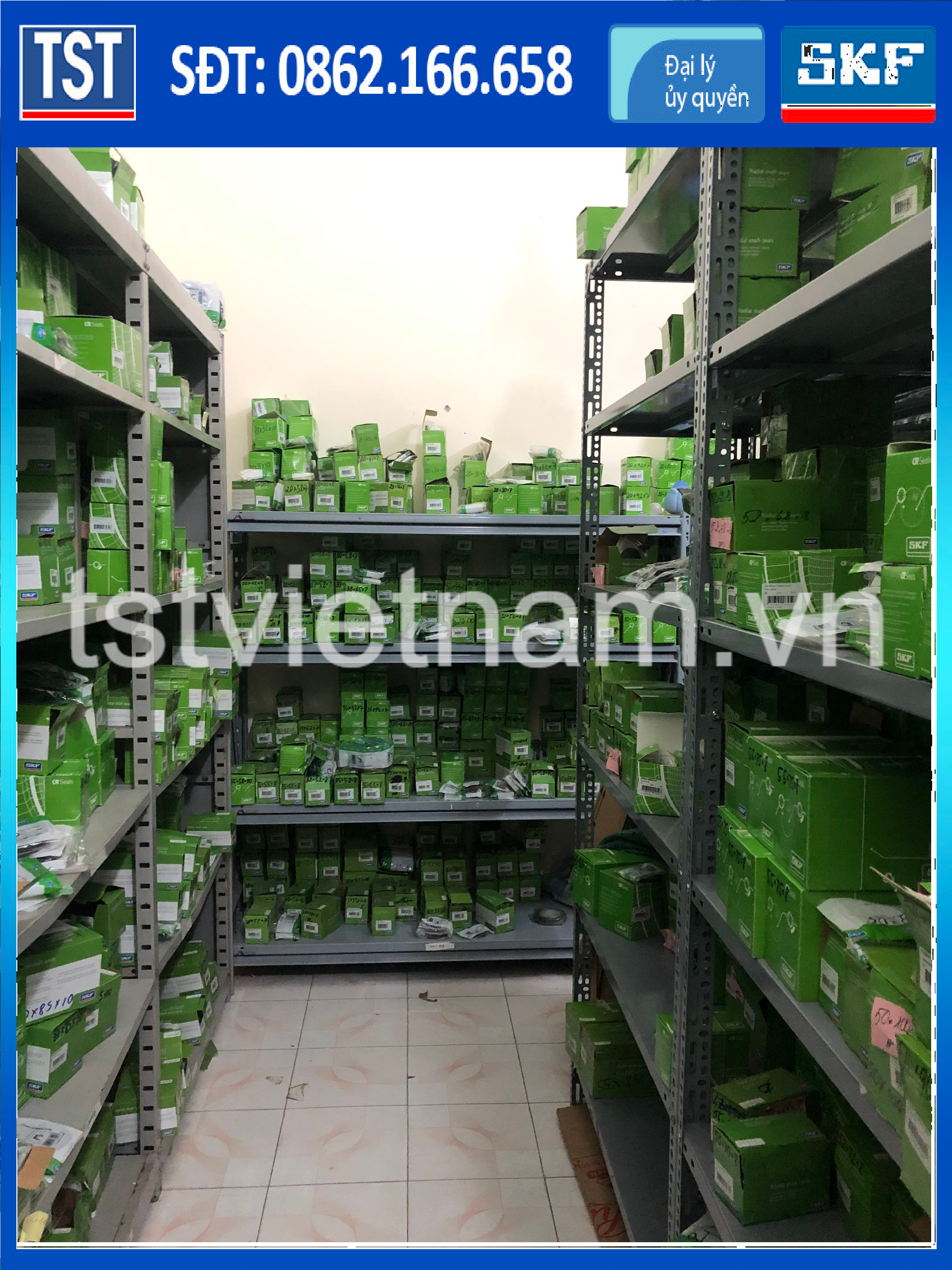 Phớt SKF TSN 515 L