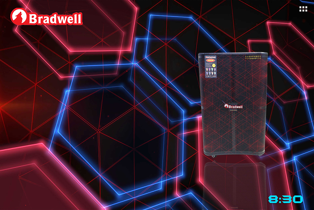 Loa Bluetooth best Bradwell BR9