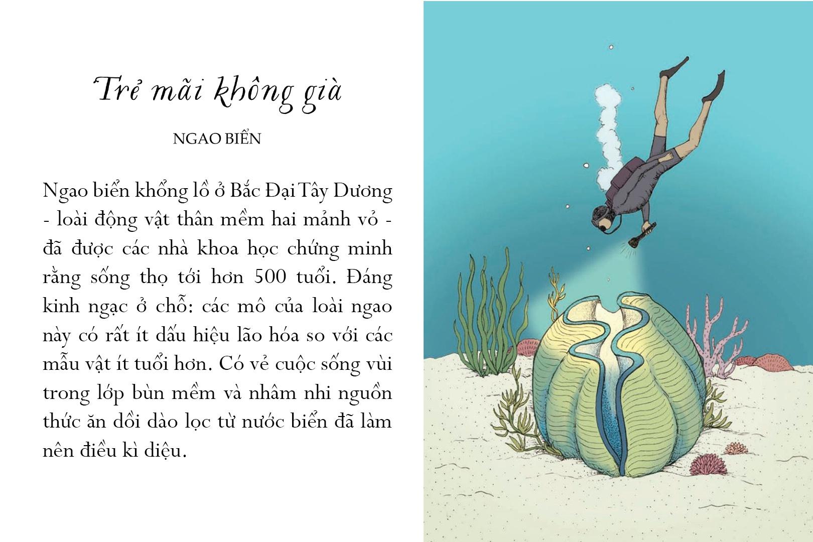 Sách Sống Một Đời Tựa Biển Khơi - Những Bài Học Trí Tuệ Nhẹ Nhàng Sâu Lắng Của Đại Dương