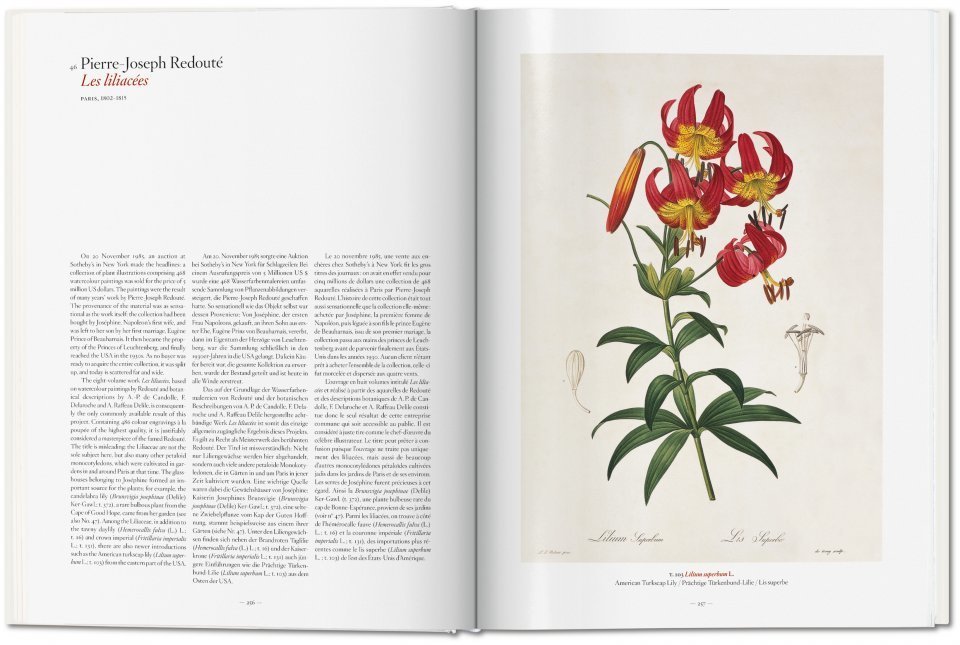 A Garden Eden. Masterpieces of Botanical Illustration