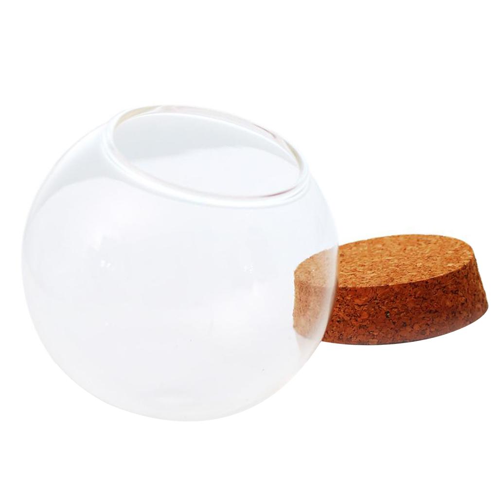 3x Glass Spherical Cover Landscape Terrarium Container Lid Vase Bottle 12cm