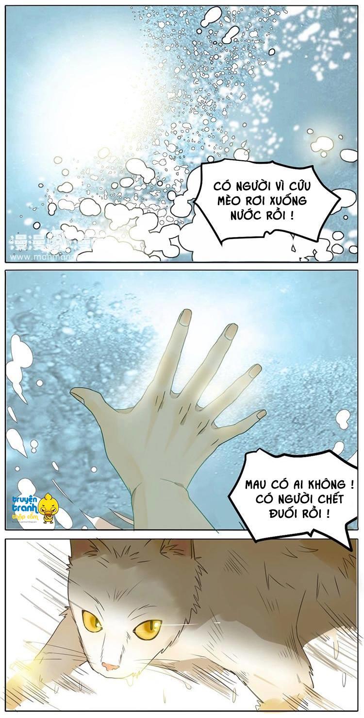 cứu mạng ! loài mèo thống trị thế giới rồi ! chapter 2 3