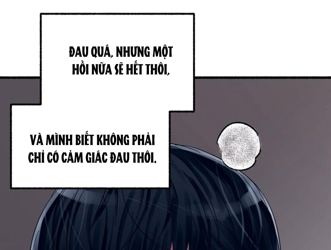 hoa triều chapter 20 129