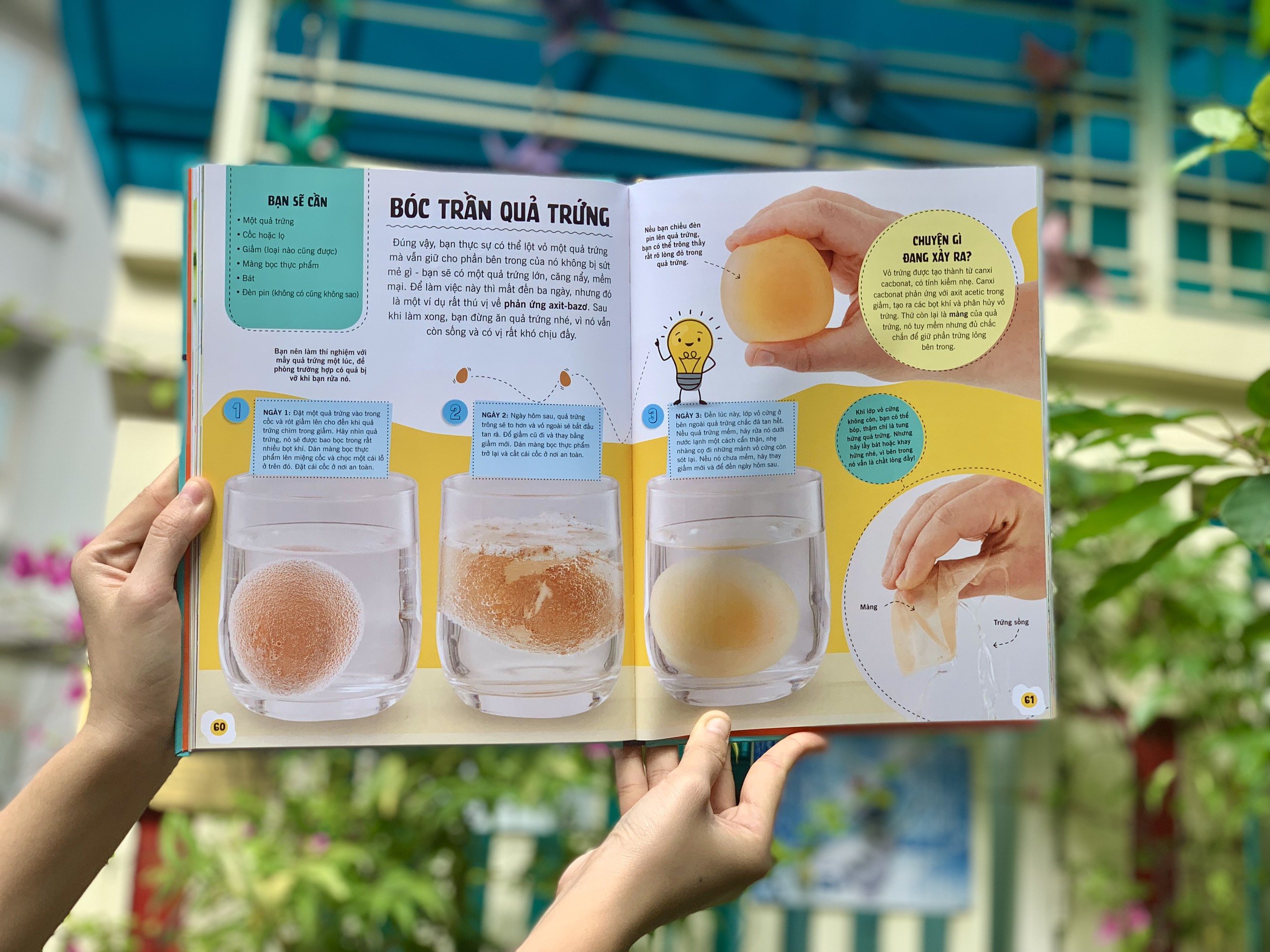 Sách Khoa học ăn được không?