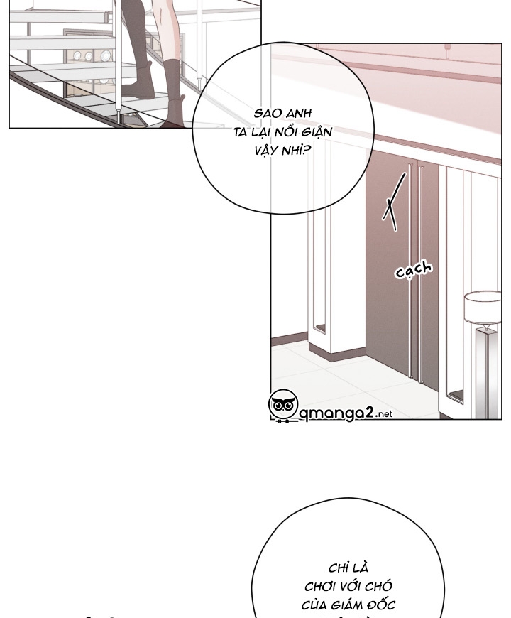 hội chứng minmotion chapter 8 22